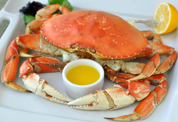 Dungeness Crabs -Crabbing HQ