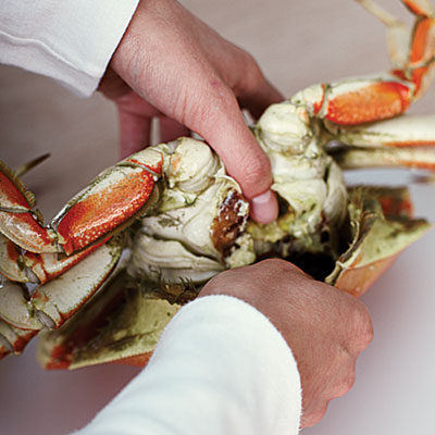 How to Eat Crab -Crabbing HQ